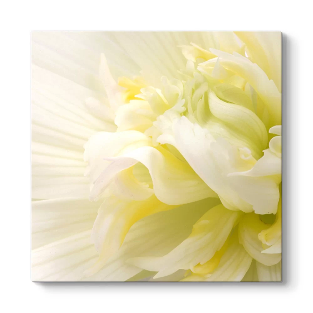 White Flower III Tablosu - Model 3
